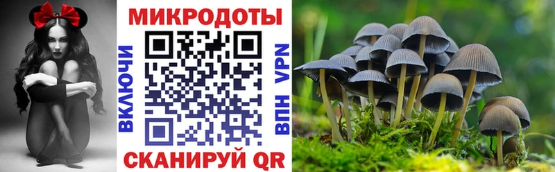 Псилоцибиновые грибы мухоморы  купить закладку  Бийск 