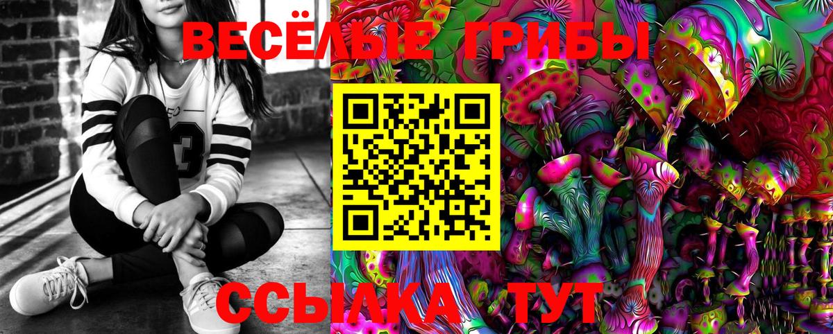 Галлюциногенные грибы GOLDEN TEACHER  Вход с VPN  Бийск 
